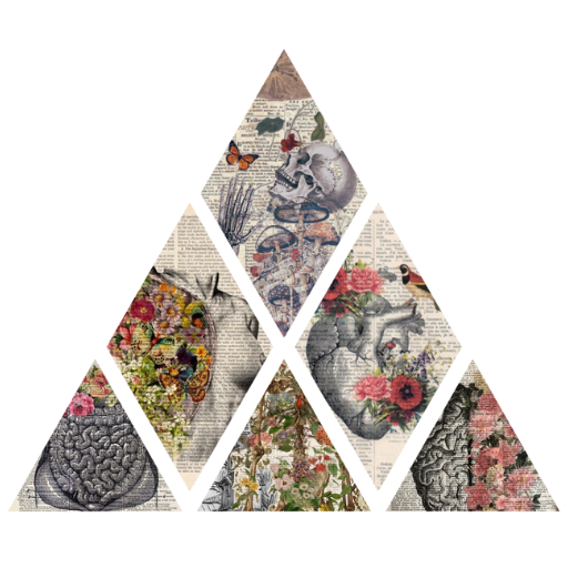 Rosa F. Brissos — Science × Soul