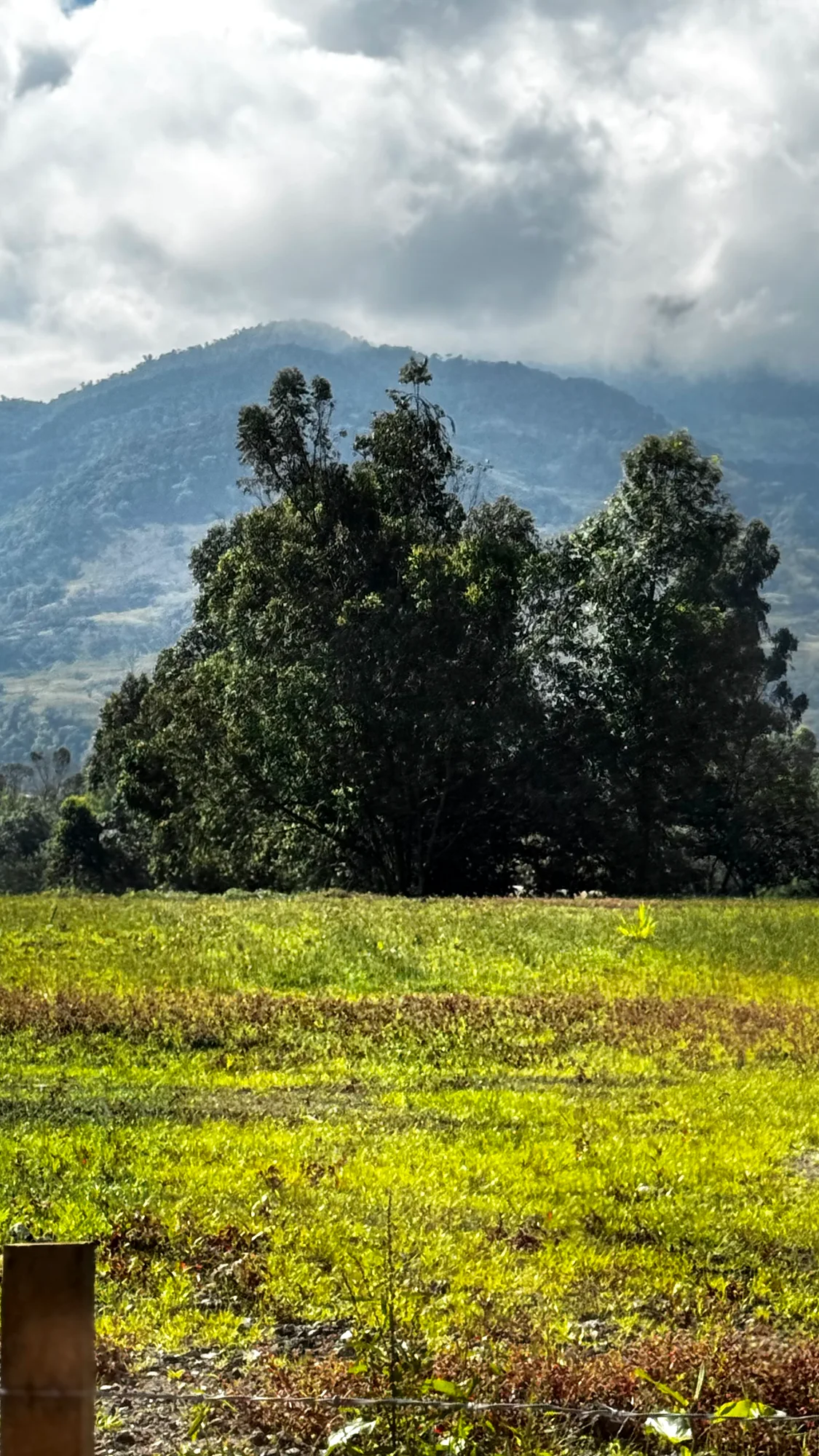 Cloud over the mountains ringing the Sibundoy Valley, Alto-Putumayo, Colombia
