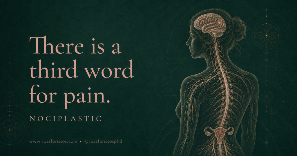 Is trauma stored in the body · why does my body hurt when the scan is clean · nociplastic pain · why do I react physically when my mind says I am safe